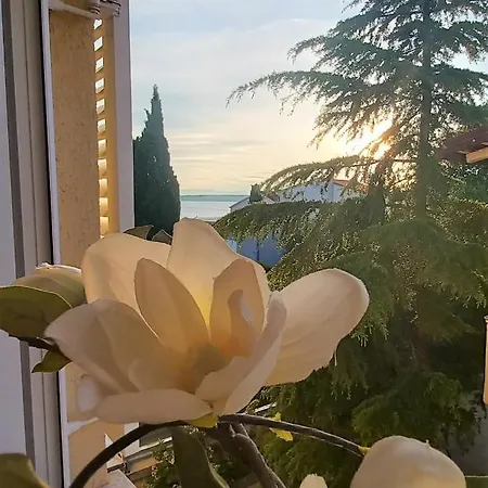 Rosi Apartmán *
