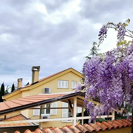 Apartman Rosi Dramalj